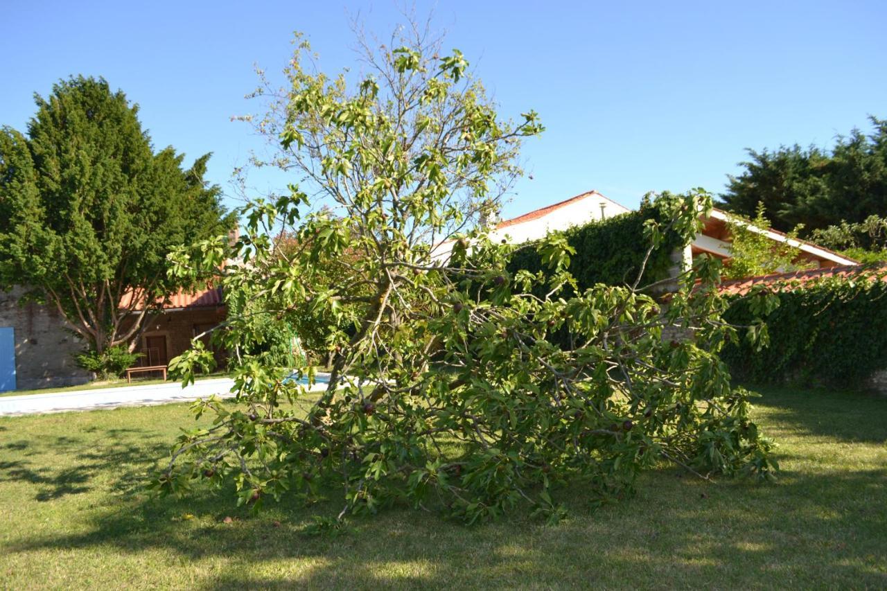 La Maison De Thire Panzió Kültér fotó